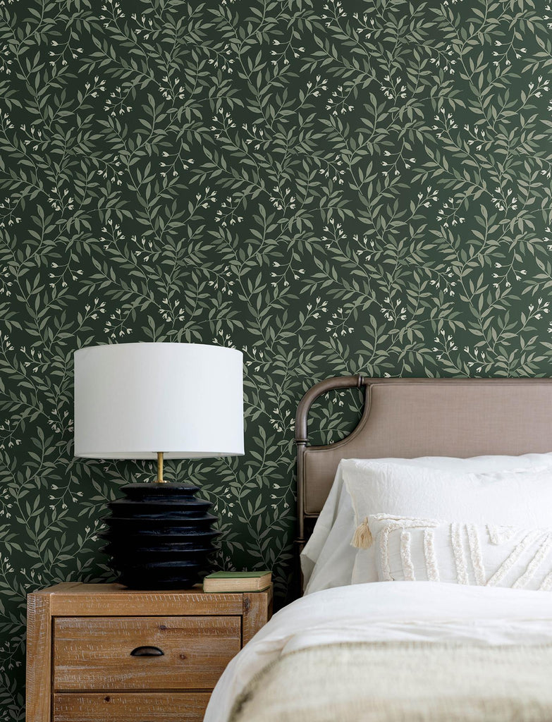 Brewster Home Fashions Vine Evergreen Wallpaper
