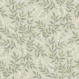 Brewster Home Fashions Vine Green Wallpaper