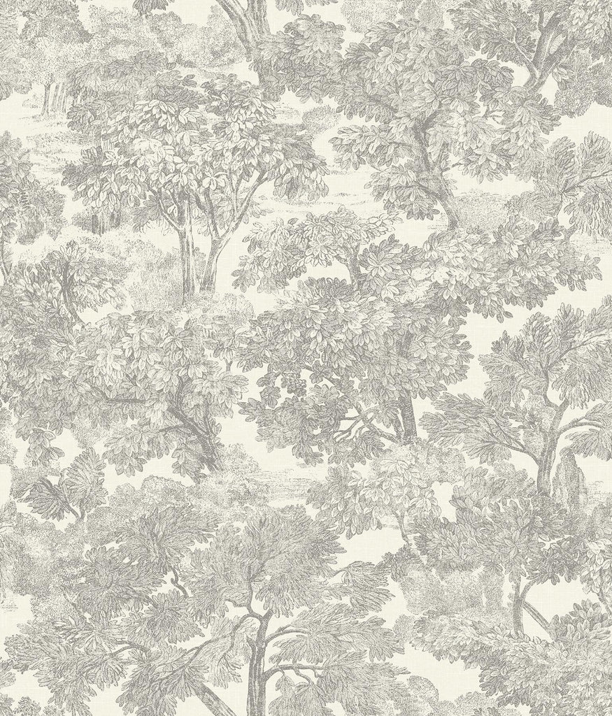 Brewster Home Fashions Trees Grey Wallpaper