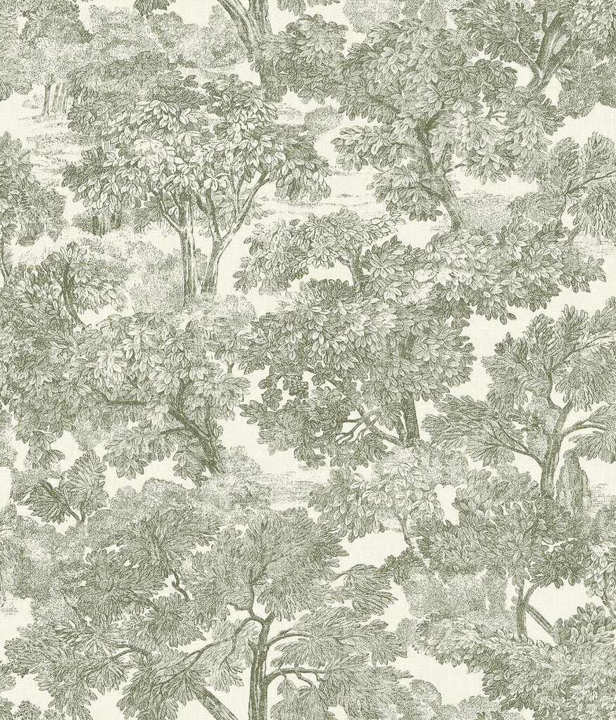 Brewster Home Fashions Trees Green Wallpaper