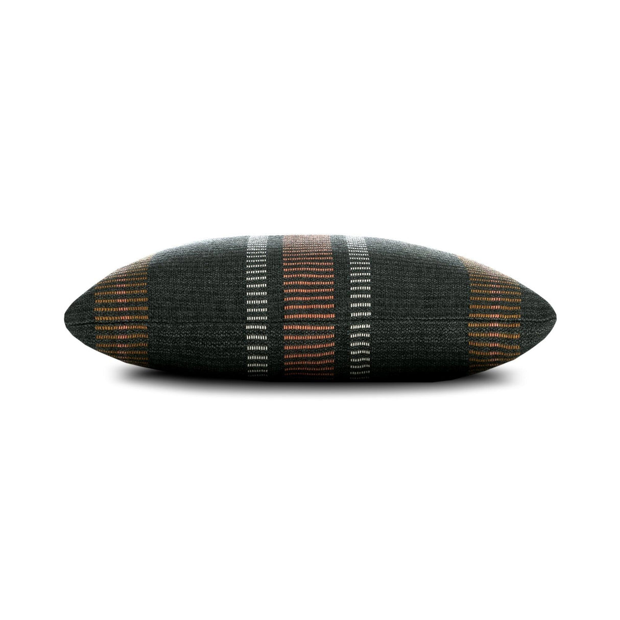 Elaine Smith Journey Earth Black 22"x22" Decorative Pillow