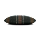 Elaine Smith Journey Earth Black 22"x22" Decorative Pillow