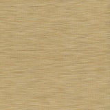 Kasmir Gainsford Oatmeal Fabric