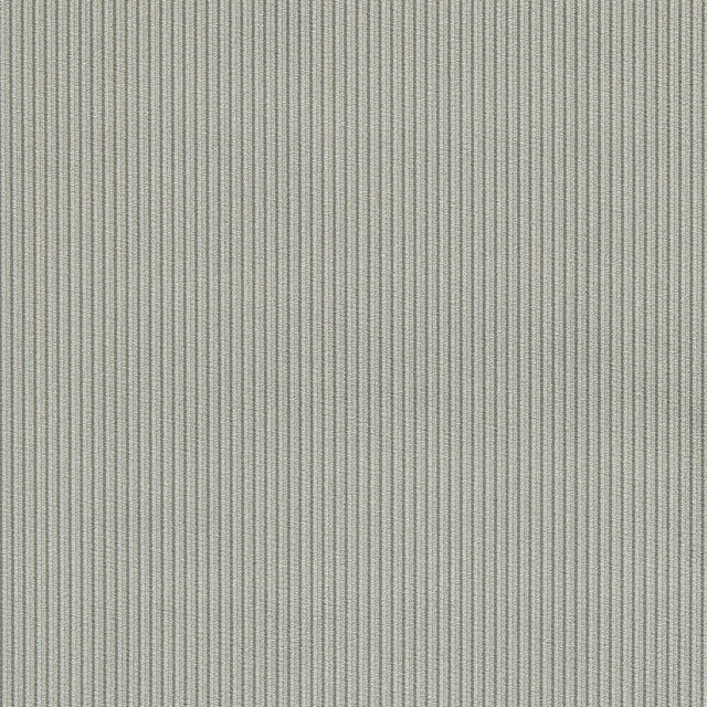 Clarke & Clarke ASHDOWN GRAPHITE Upholstery Fabric