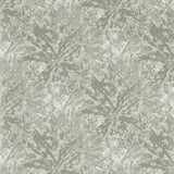 Clarke & Clarke DIPINTO PEWTER WP Wallpaper