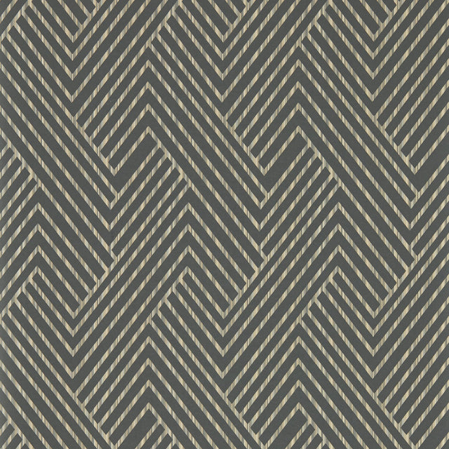 Clarke & Clarke GRASSETTO CHARCOAL WP Wallpaper