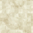 Clarke & Clarke IMPATTO NATURAL WP Wallpaper