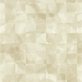 Clarke & Clarke IMPATTO NATURAL WP Wallpaper