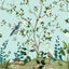 Kravet DESIGN W4176 355 Wallpaper
