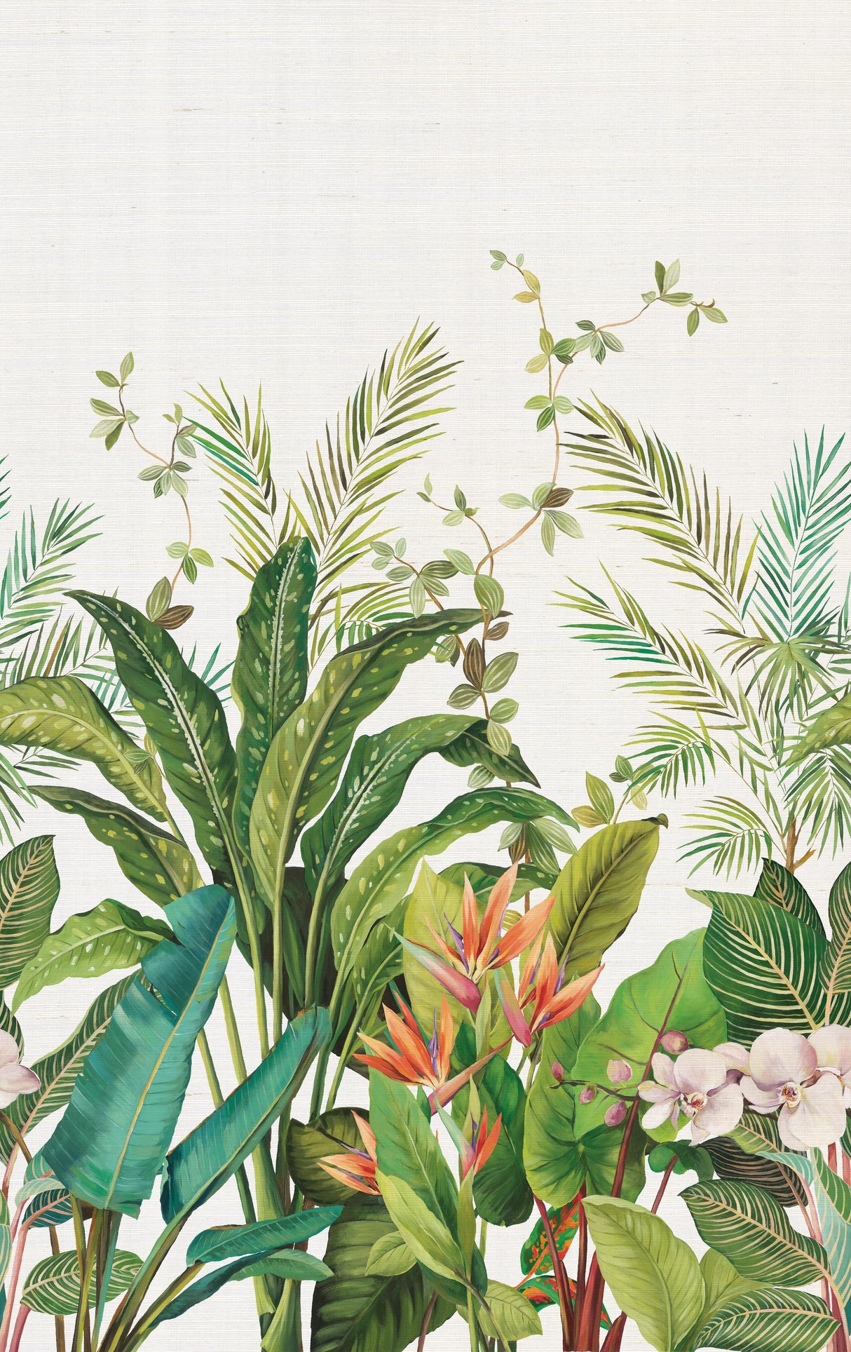 Kravet DESIGN W4181 312 Wallpaper