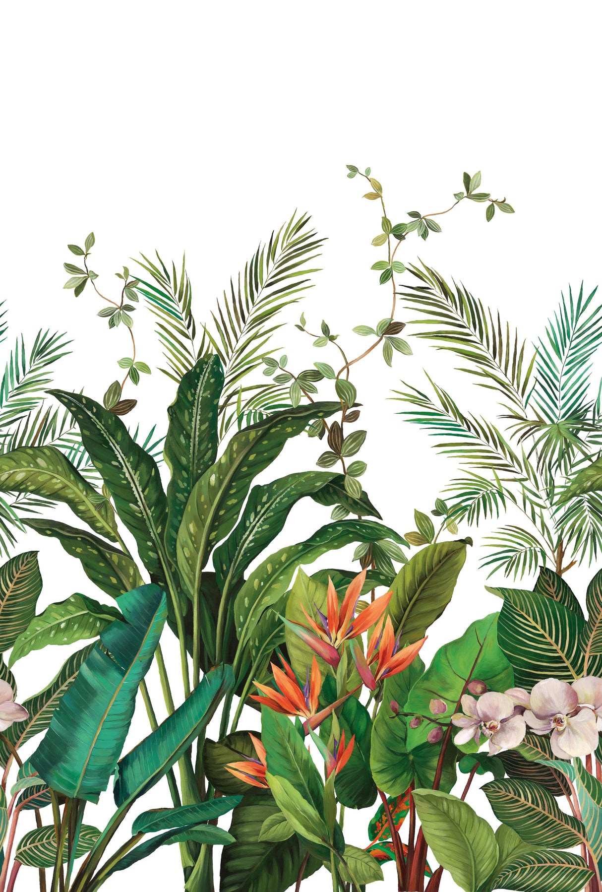 Kravet DESIGN W4180 312 Wallpaper