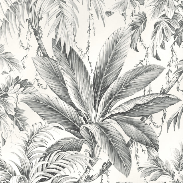 Kravet DESIGN W4190 11 Wallpaper