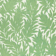 Maxwell LAUREL LEAF (WP) #01 VERDE Wallpaper