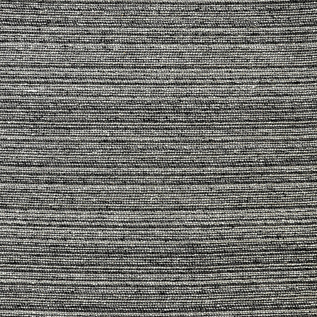 Maxwell BENNINGTON #819 SHADOW Fabric