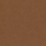 Maxwell BOYDEN-NJ #927 SYCAMORE Fabric