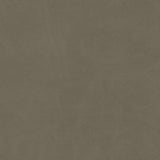 Maxwell BOYDEN-NJ #937 CONNEMARA Fabric