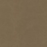 Maxwell BOYDEN-NJ #935 SAGE Fabric