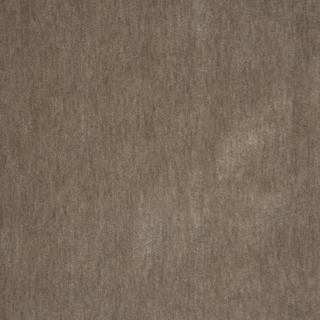 Maxwell BELLUNO #101 GREYHOUND Fabric