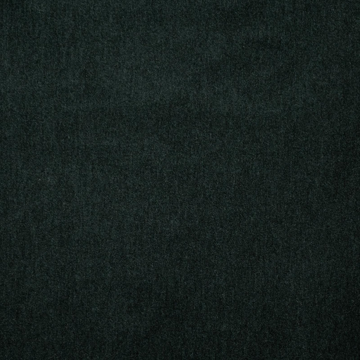 Maxwell BELLUNO #102 CAVIAR Fabric