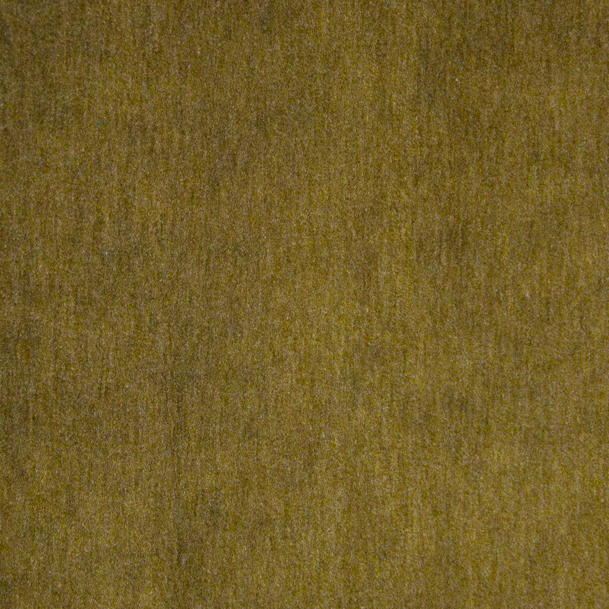 Maxwell BELLUNO #107 OLIVE Fabric