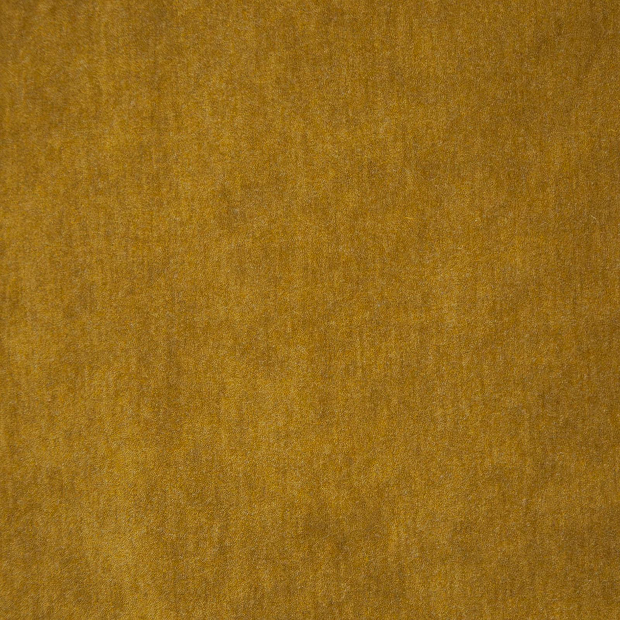 Maxwell BELLUNO #108 GOLD Fabric