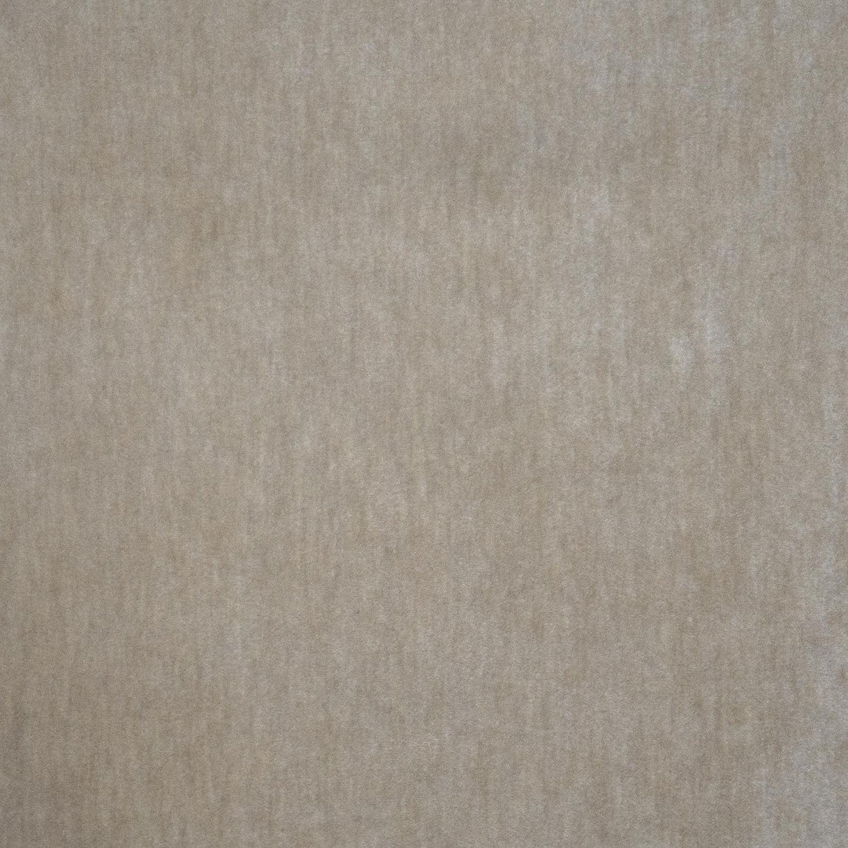 Maxwell BELLUNO #116 DOVE Fabric