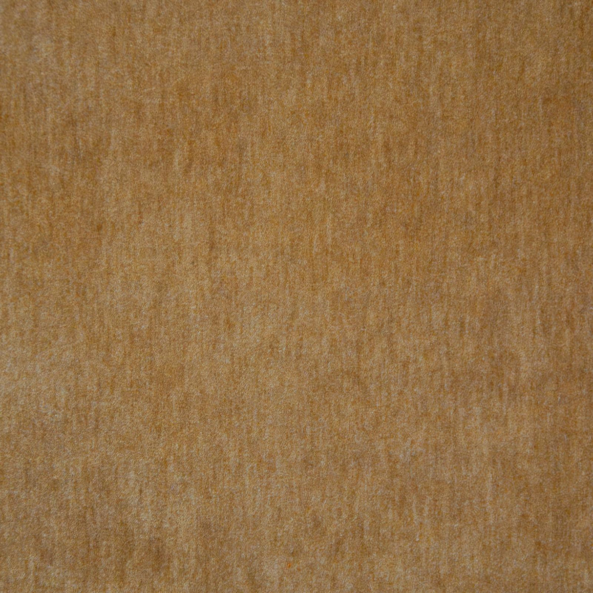 Maxwell BELLUNO #117 CAMEL Fabric