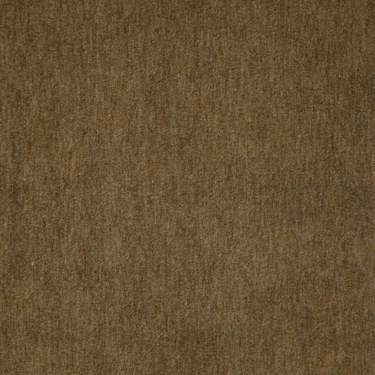 Maxwell BELLUNO #119 BARK Fabric