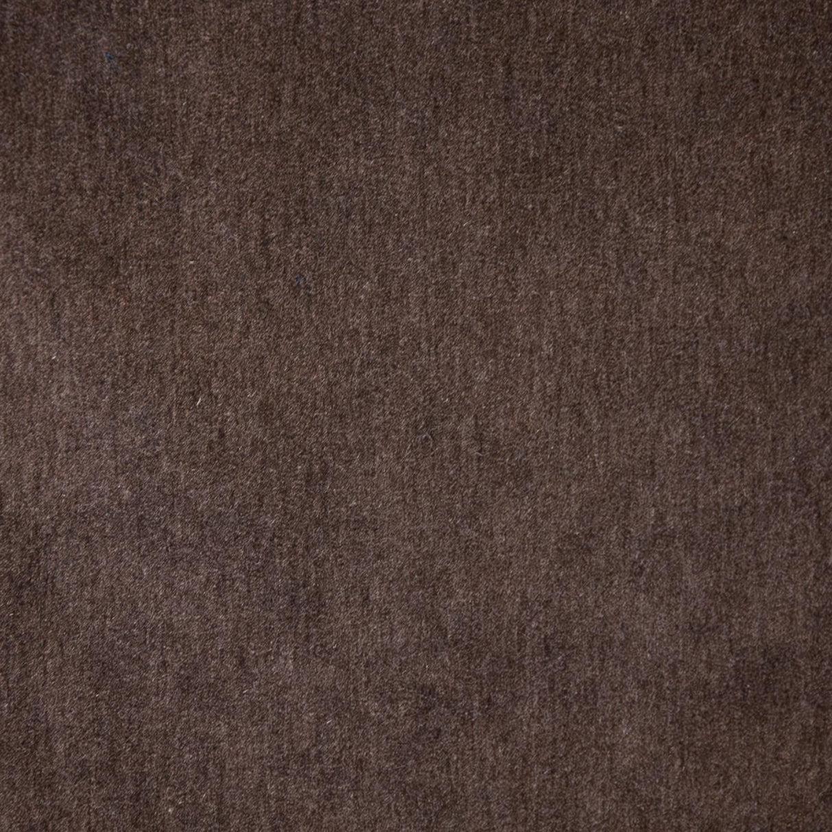 Maxwell BELLUNO #121 GRAY OWL Fabric