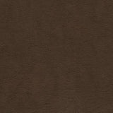 Maxwell CAPULET-NJ #1268 TREASURE CHEST Fabric