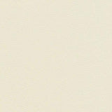 Maxwell CATALYST-NJ #519 FLUFF Fabric