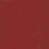 Maxwell CATALYST-NJ #523 RIBBON Fabric