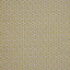 Maxwell CADBORO #907 POMELO Upholstery Fabric