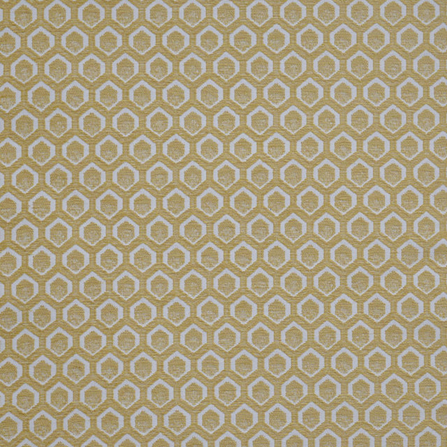 Maxwell CADBORO #907 POMELO Upholstery Fabric