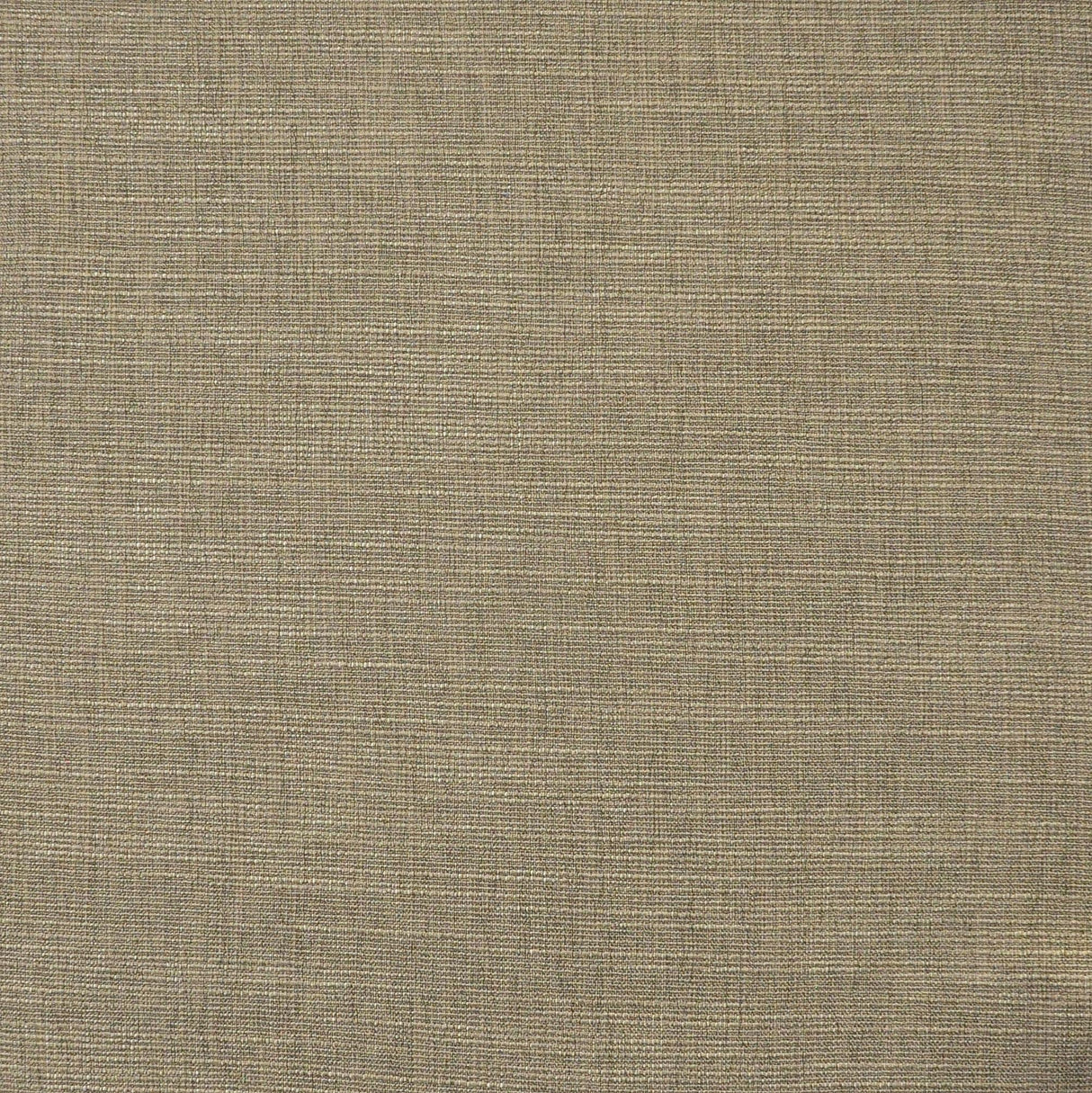 Maxwell DAINTREE #512 MOREL Drapery Fabric