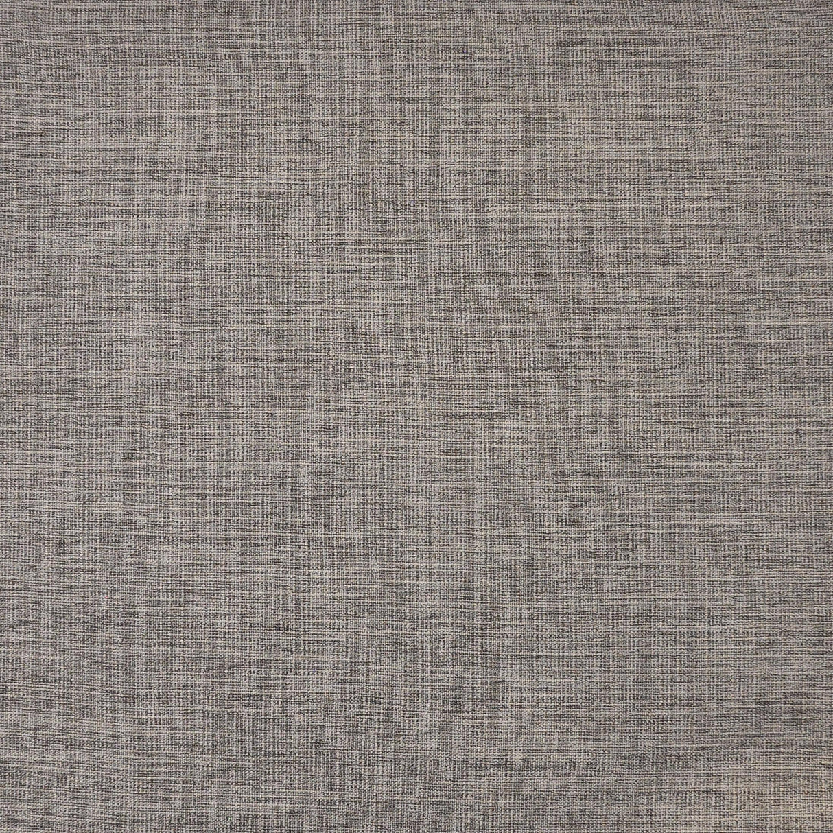 Maxwell DAINTREE #528 ASH Drapery Fabric