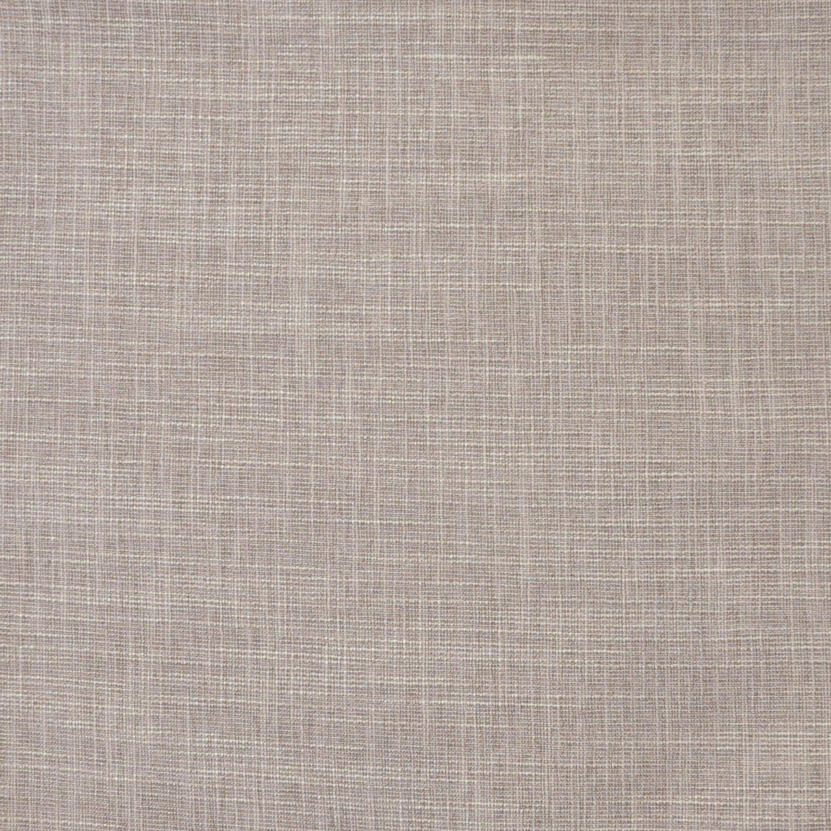 Maxwell DAINTREE #550 ORCHID Drapery Fabric