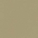 Maxwell DOWNTOWN-NJ #331 SAND DOLLAR Fabric