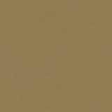 Maxwell DOWNTOWN-NJ #340 FIELD Fabric