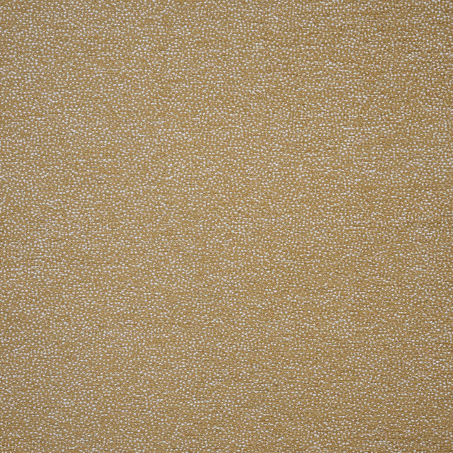 Maxwell DOLCETTO #709 CAMEL Upholstery Fabric