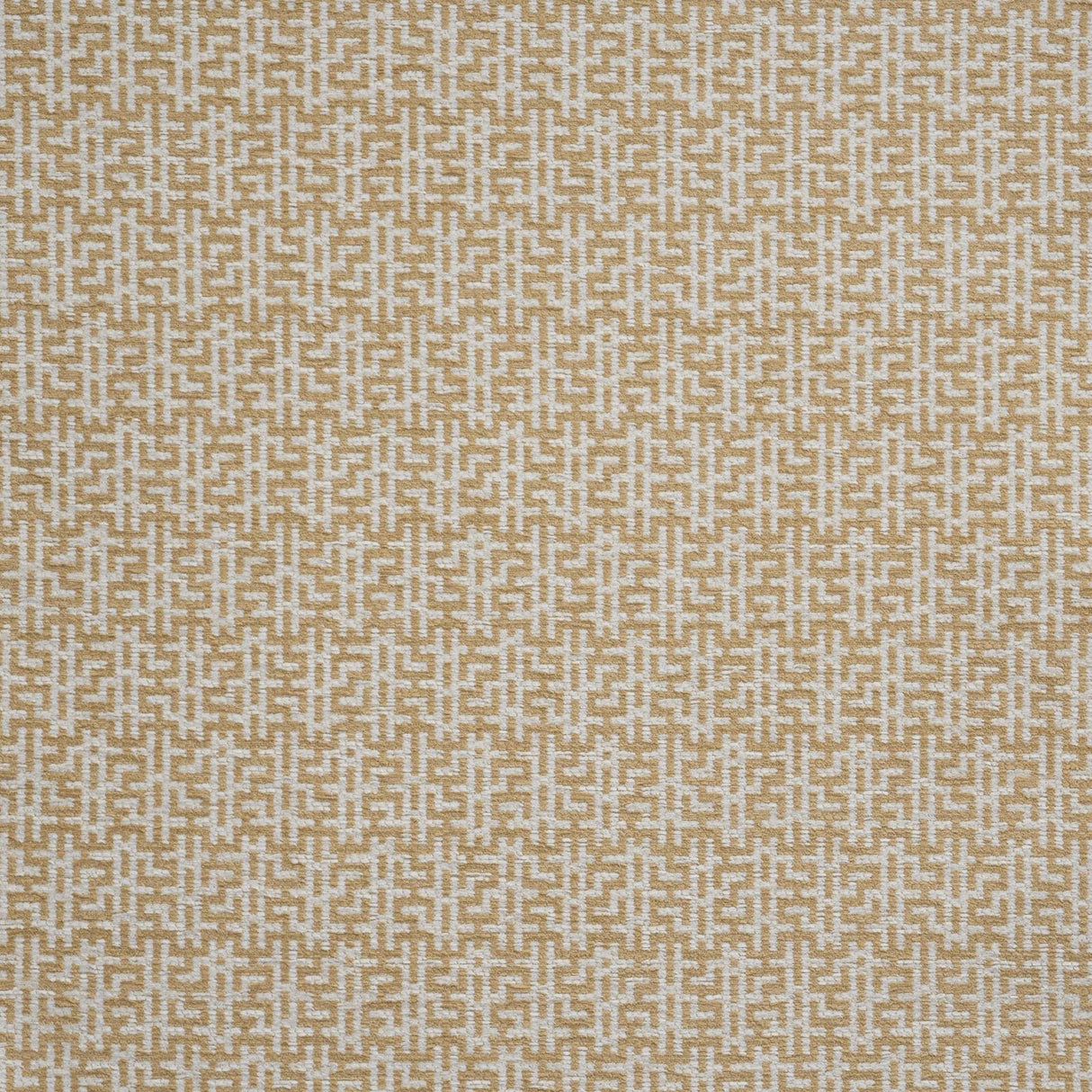 Maxwell GARDEN MAZE #704 MAIZE Upholstery Fabric