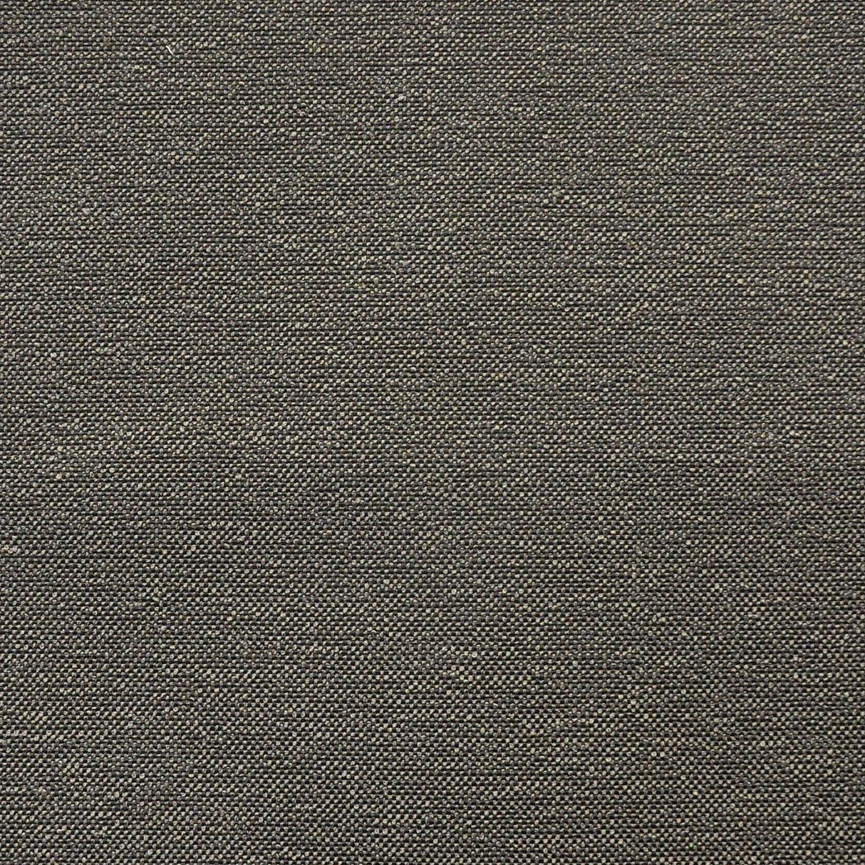 Maxwell HOLLIS #818 THUNDER Fabric