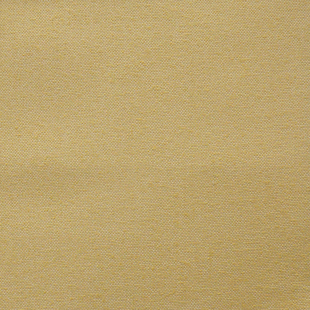 Maxwell HOLLIS #826 CANARY Fabric