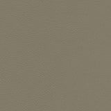 Maxwell HERVE-NJ #751 CELLAR Fabric