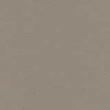 Maxwell HIGHBORN-NJ #403 CLIFF Fabric