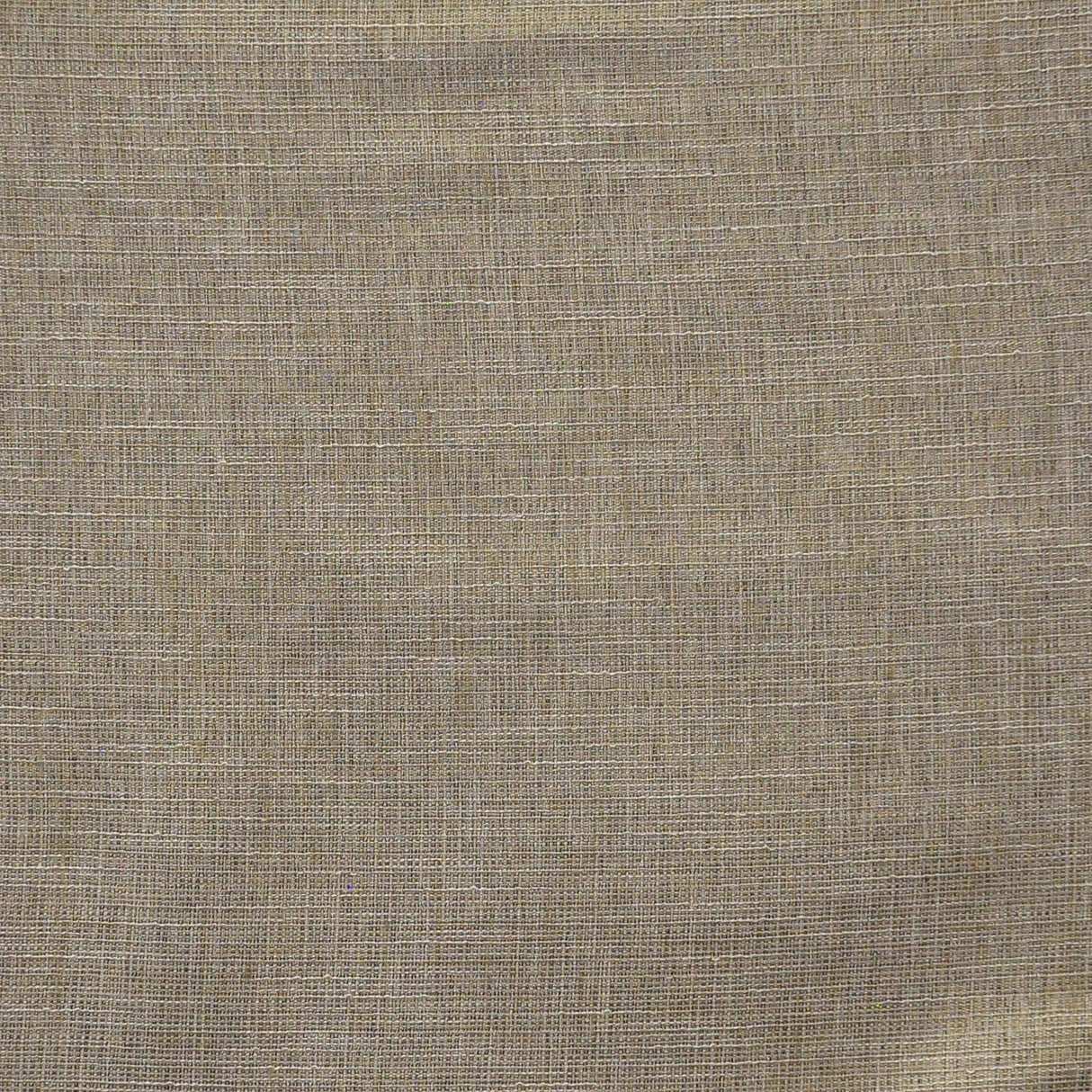 Maxwell LYSANDER #609 FLAX Fabric