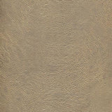 Maxwell LACONIA-NJ #191 MOLASSES Fabric