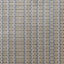 Maxwell LECCO #631 LICHEN Fabric