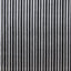 Maxwell LUGANO #617 ZEBRA Fabric