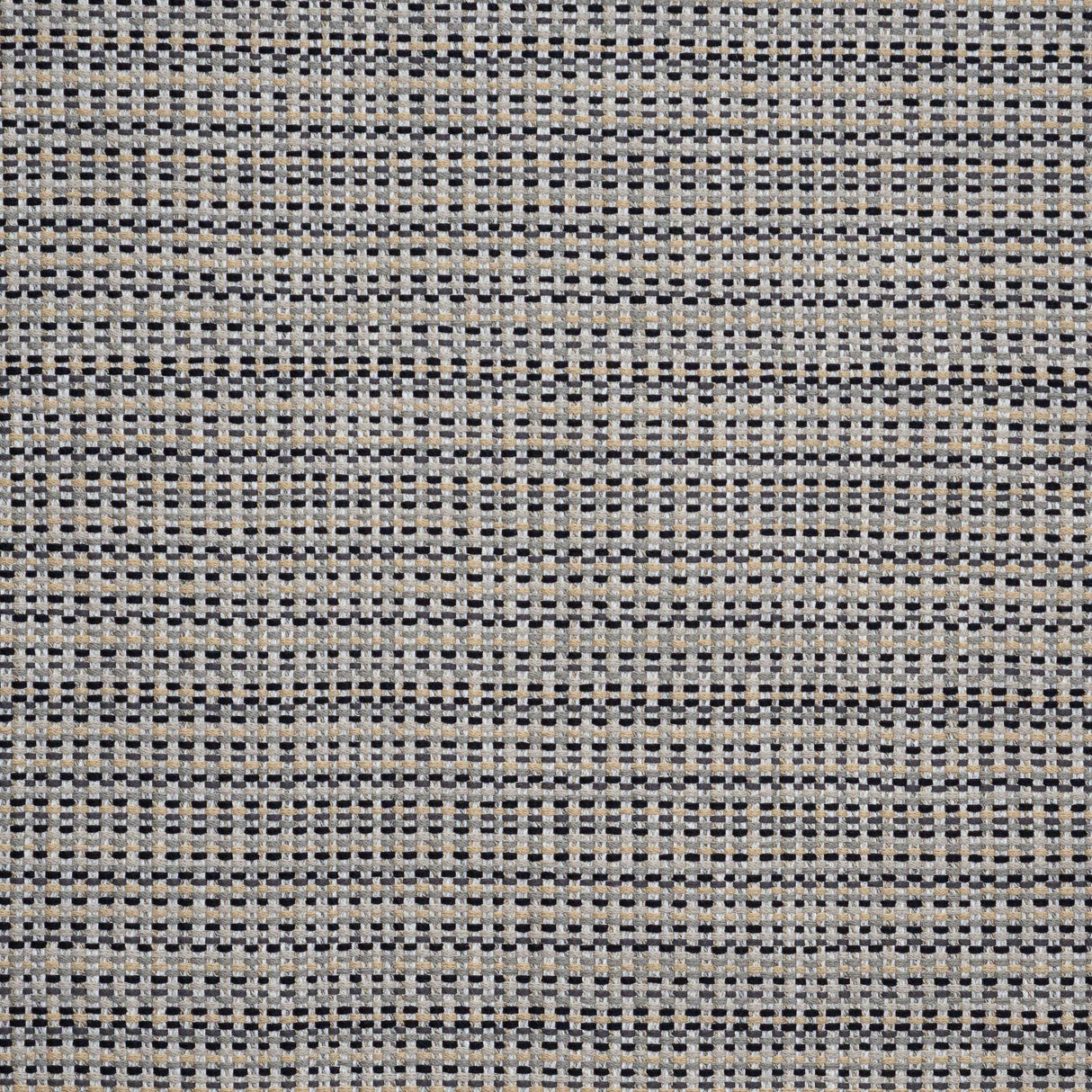 Maxwell SEMILLON #702 BUMBLEBEE Upholstery Fabric